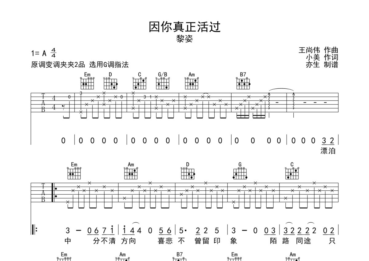 黎姿《因你真正活过》吉他谱_G调吉他弹唱谱第1张
