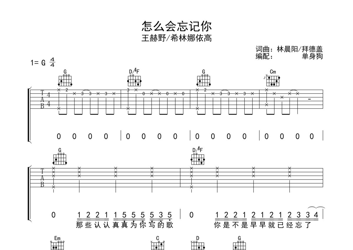 王赫野/希林娜依高《怎么会忘记你》吉他谱_G调吉他弹唱谱第1张