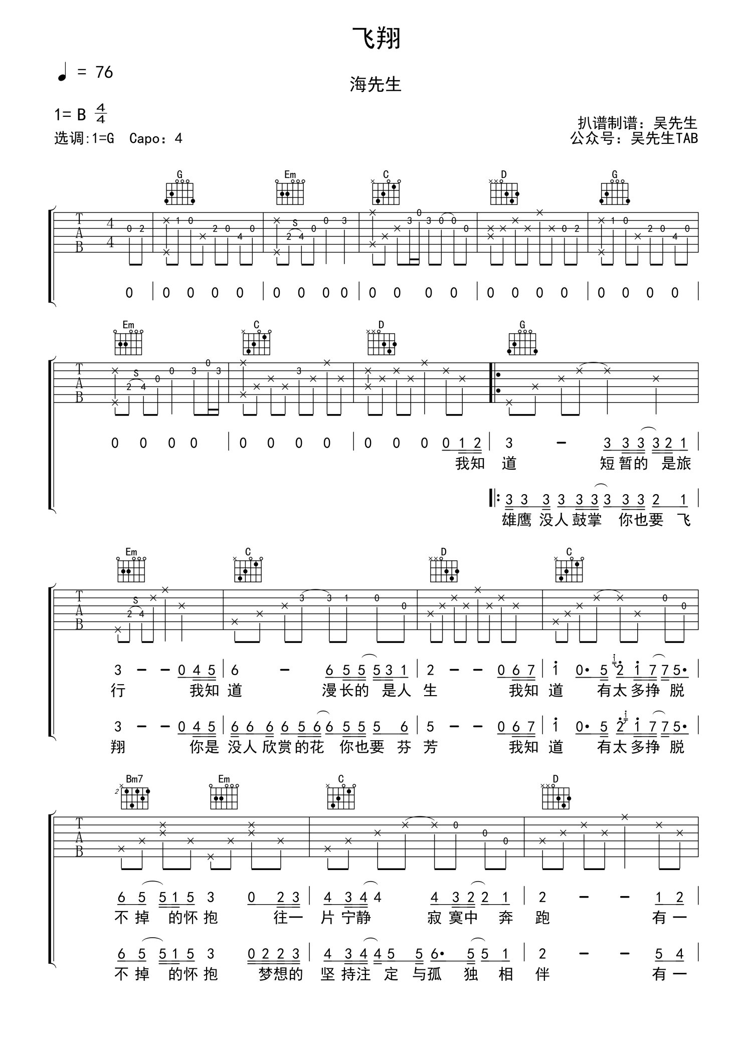 海先生《飞翔》吉他谱_G调吉他弹唱谱第1张