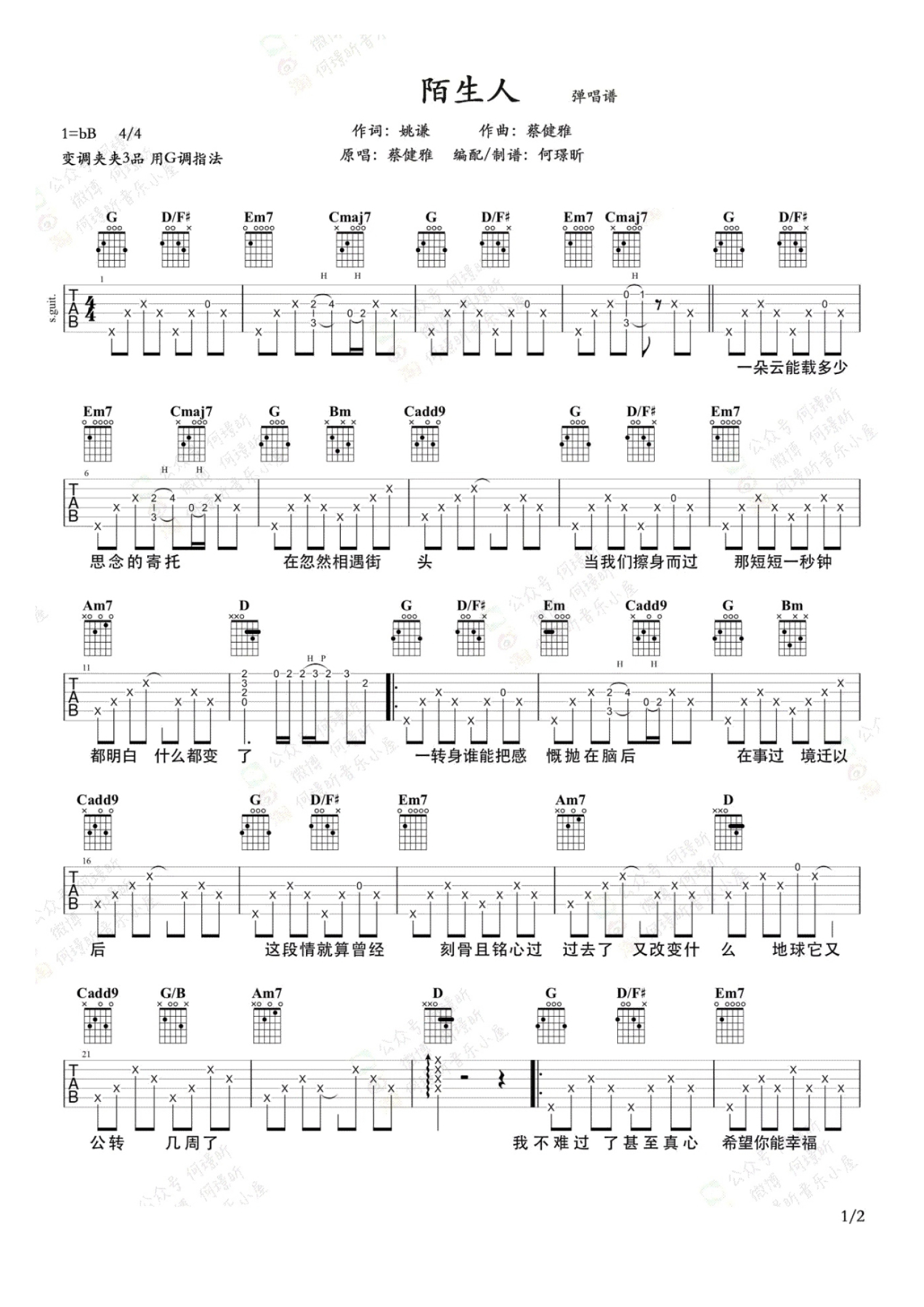 蔡健雅《陌生人》吉他谱_G调吉他弹唱谱第1张