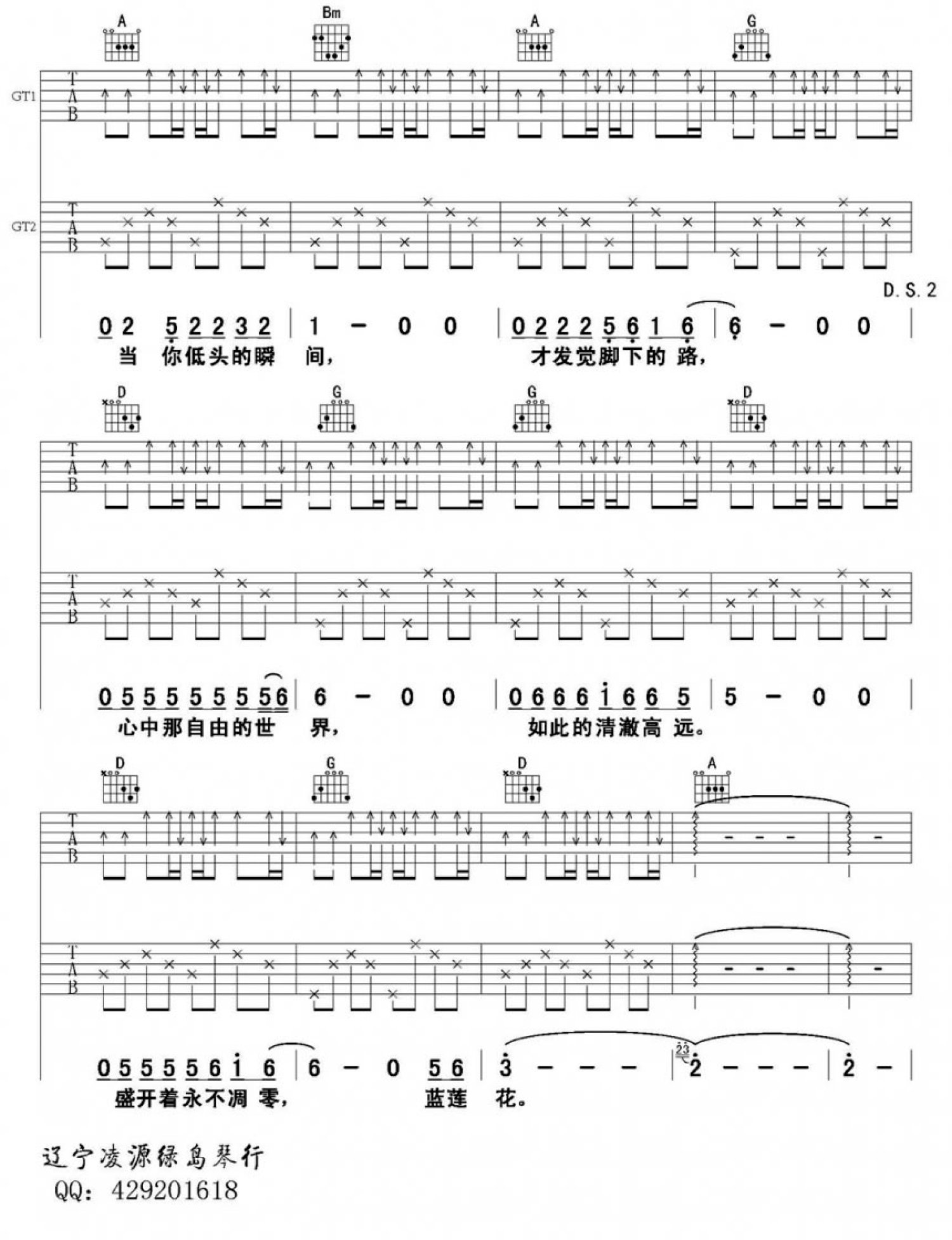 许巍《蓝莲花》吉他谱_D调吉他弹唱谱_双吉他版本第2张