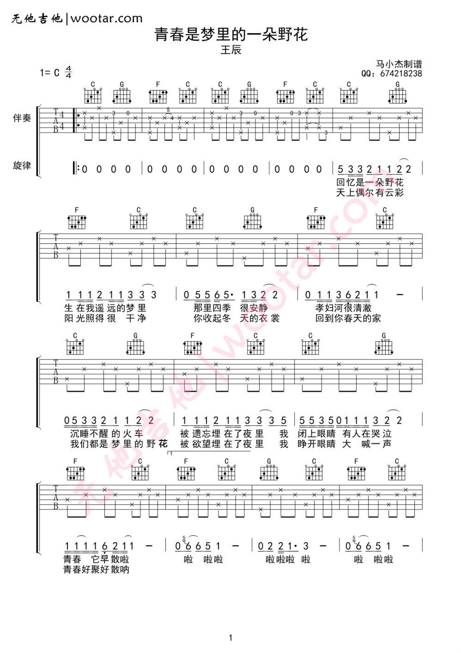 王辰《青春是梦里的一朵野花》吉他谱_C调吉他弹唱谱_男生版第1张