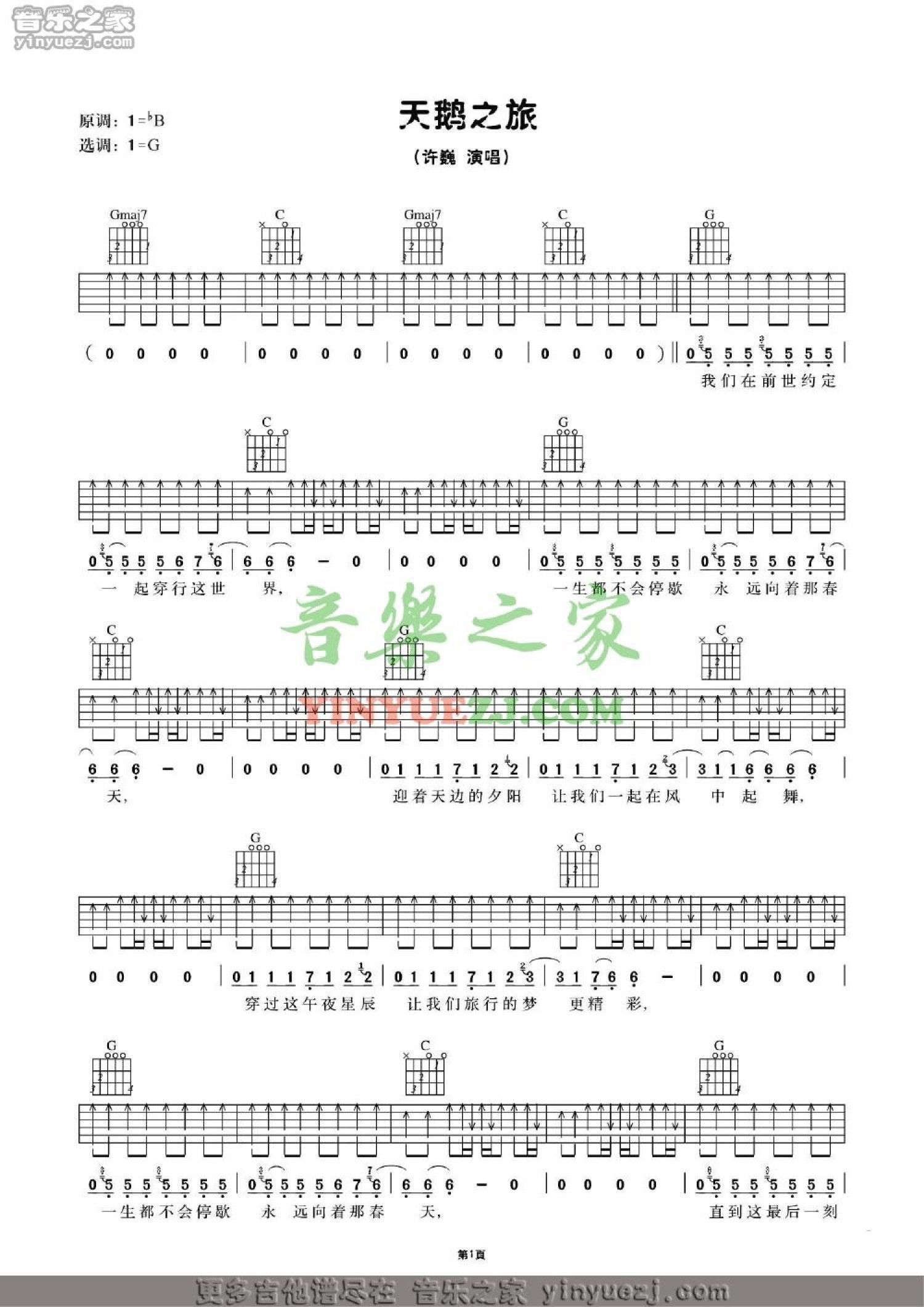 许巍《天鹅之旅》吉他谱_G调吉他弹唱谱第1张