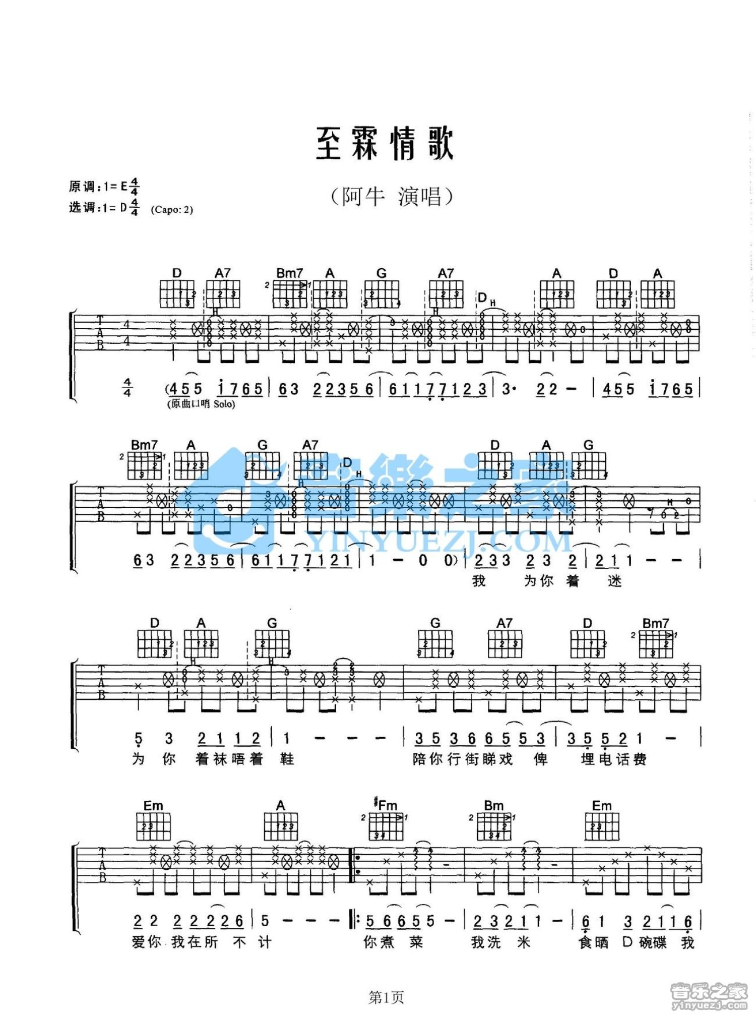 阿牛《至霖情歌》吉他谱_D调吉他弹唱谱第1张