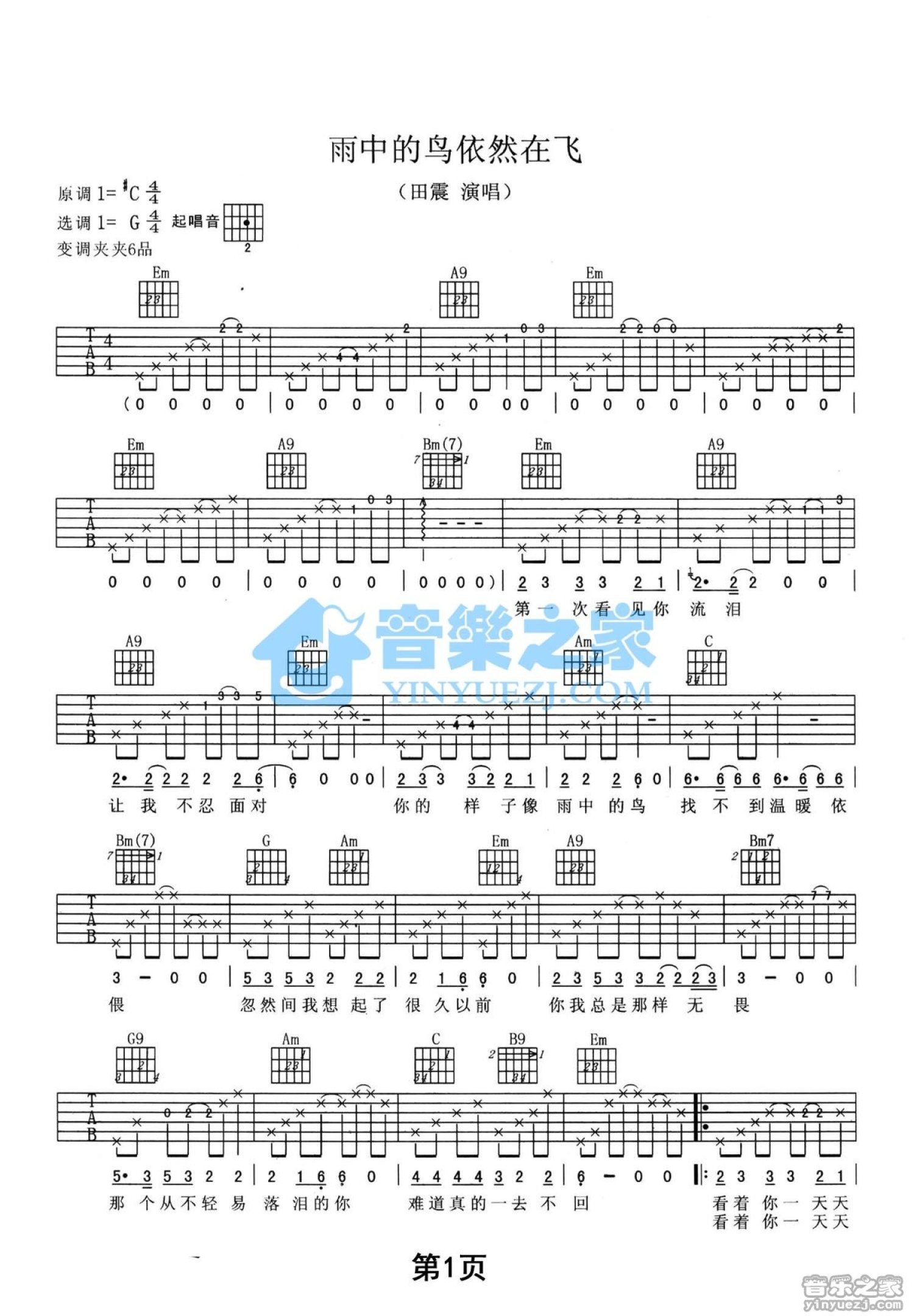 田震《雨中的鸟依然在飞》吉他谱_G调吉他弹唱谱第1张