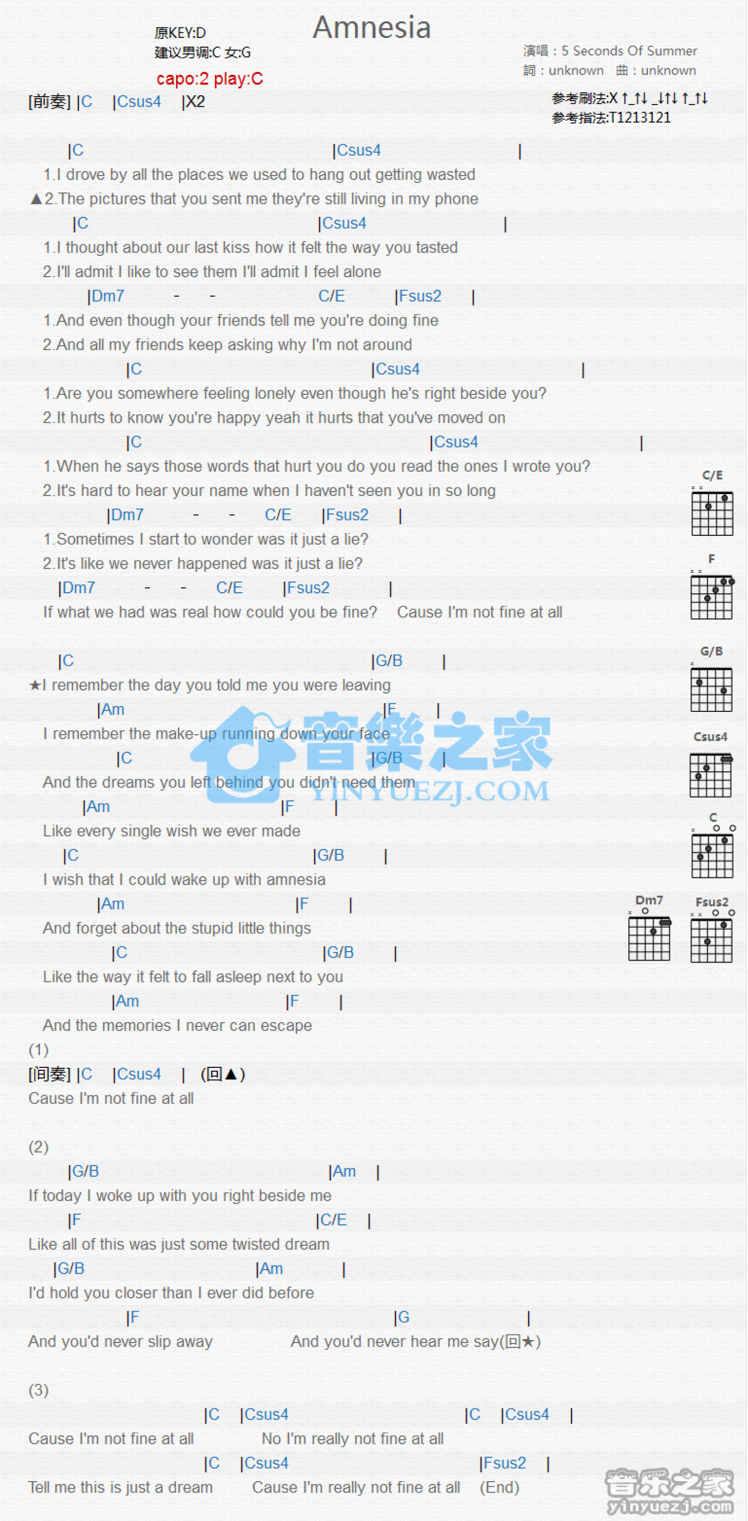 5SecondsofSummer《Amnesia》吉他谱_C调吉他弹唱谱_和弦谱第1张
