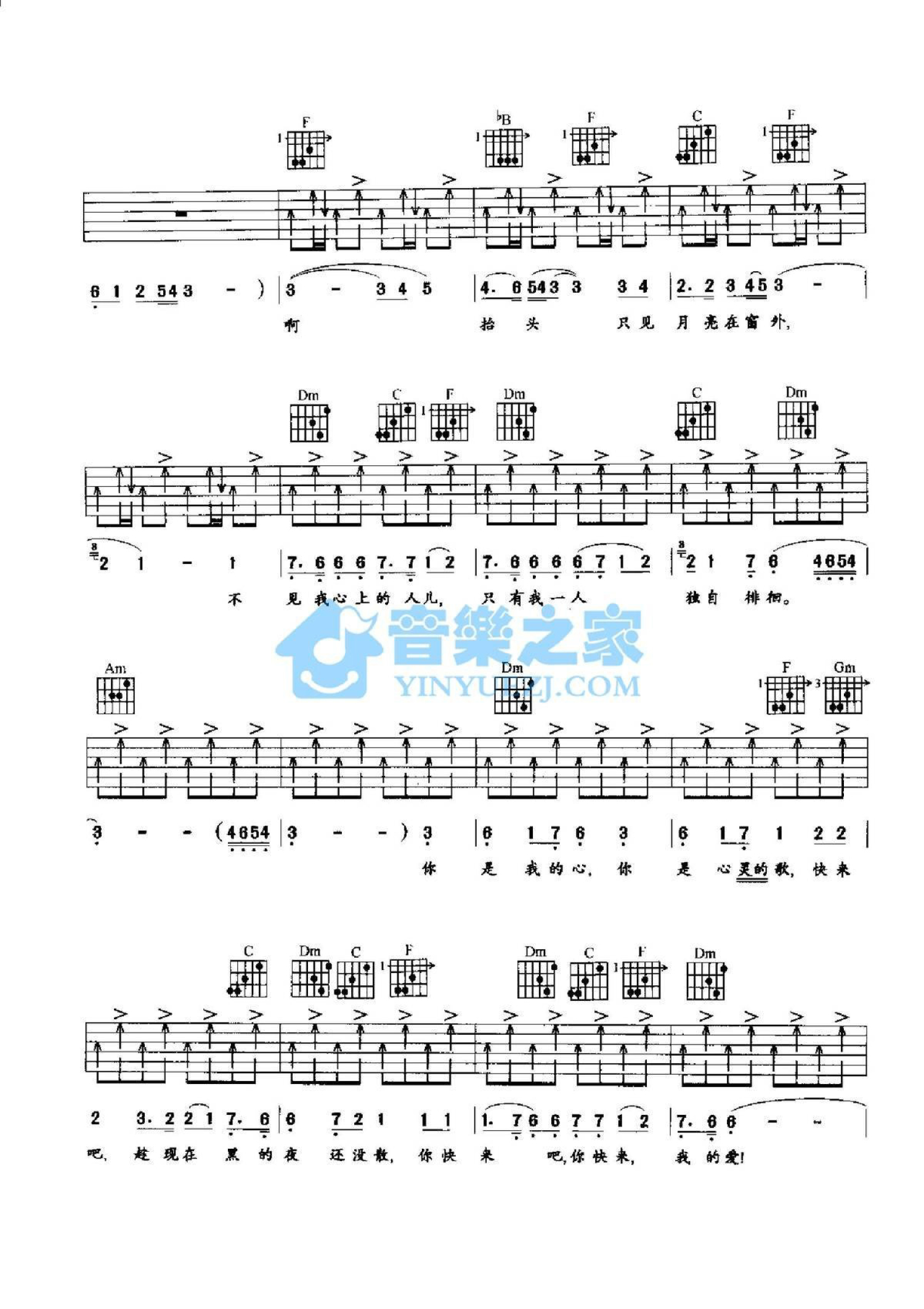 流浪者吉他谱 - 张智 - G调吉他弹唱谱 - 琴谱网