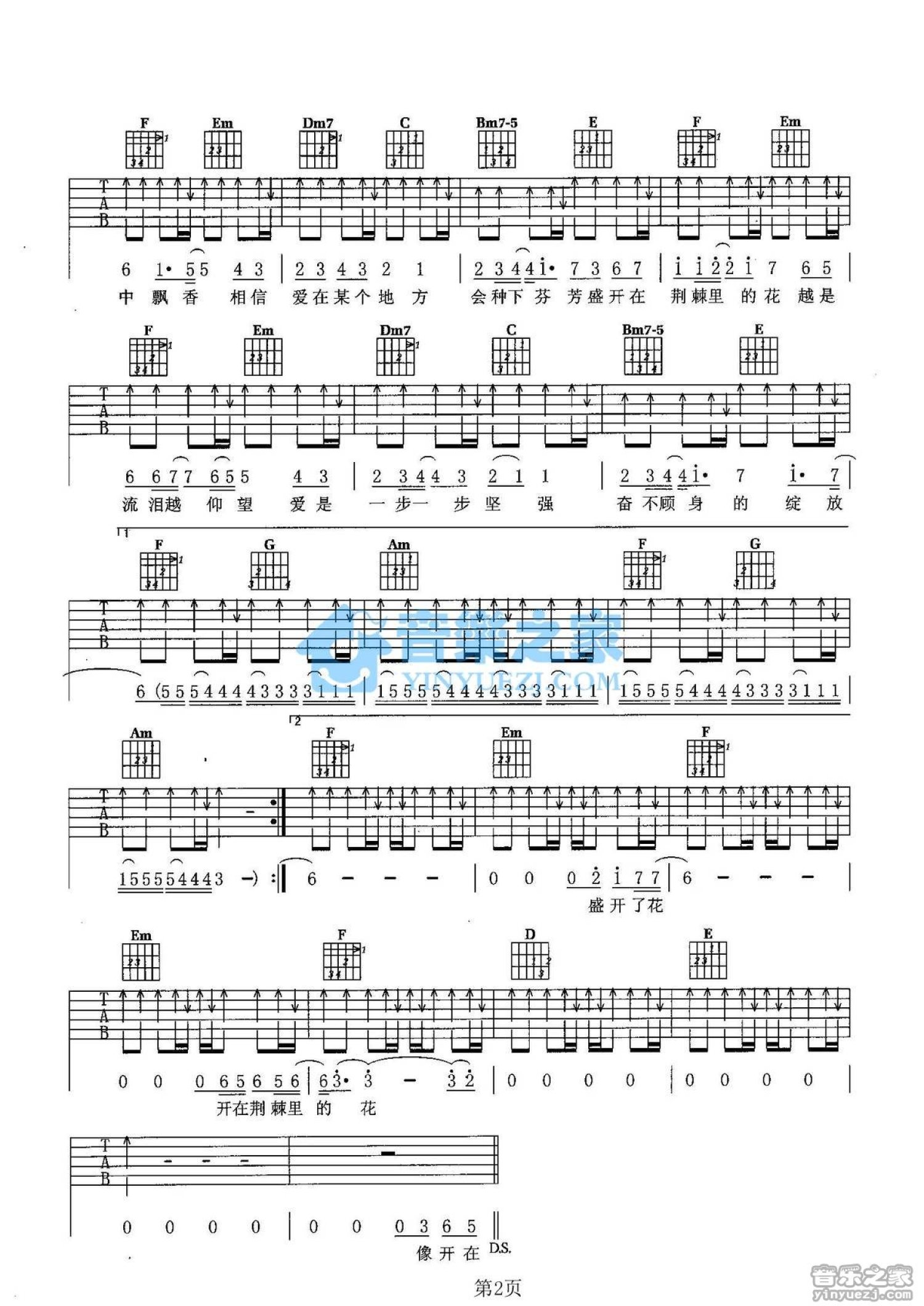飞儿乐团《荆棘里的花》吉他谱_C调吉他弹唱谱第2张