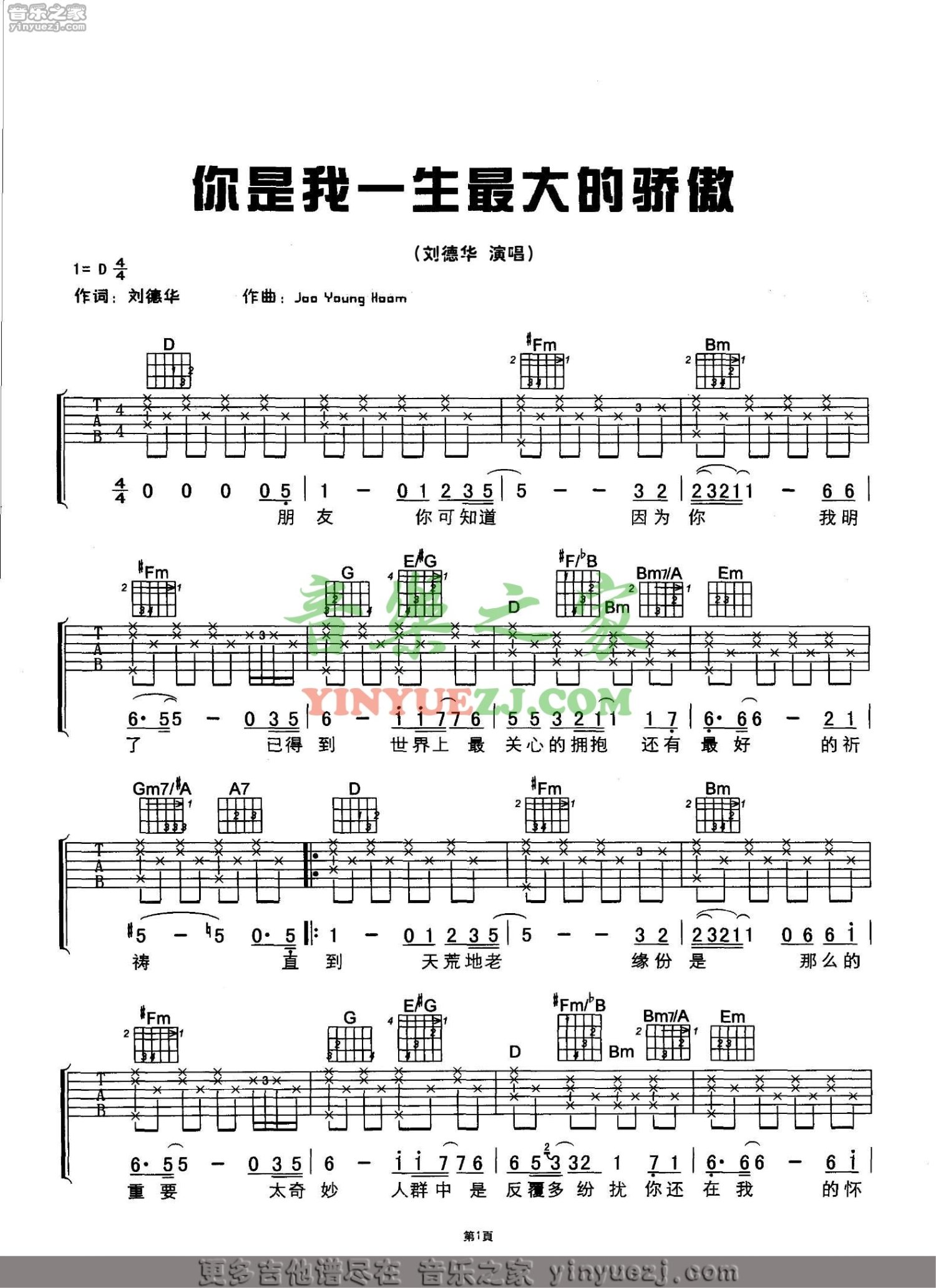 刘德华《你是我一生最大的骄傲》吉他谱_D调吉他弹唱谱第1张