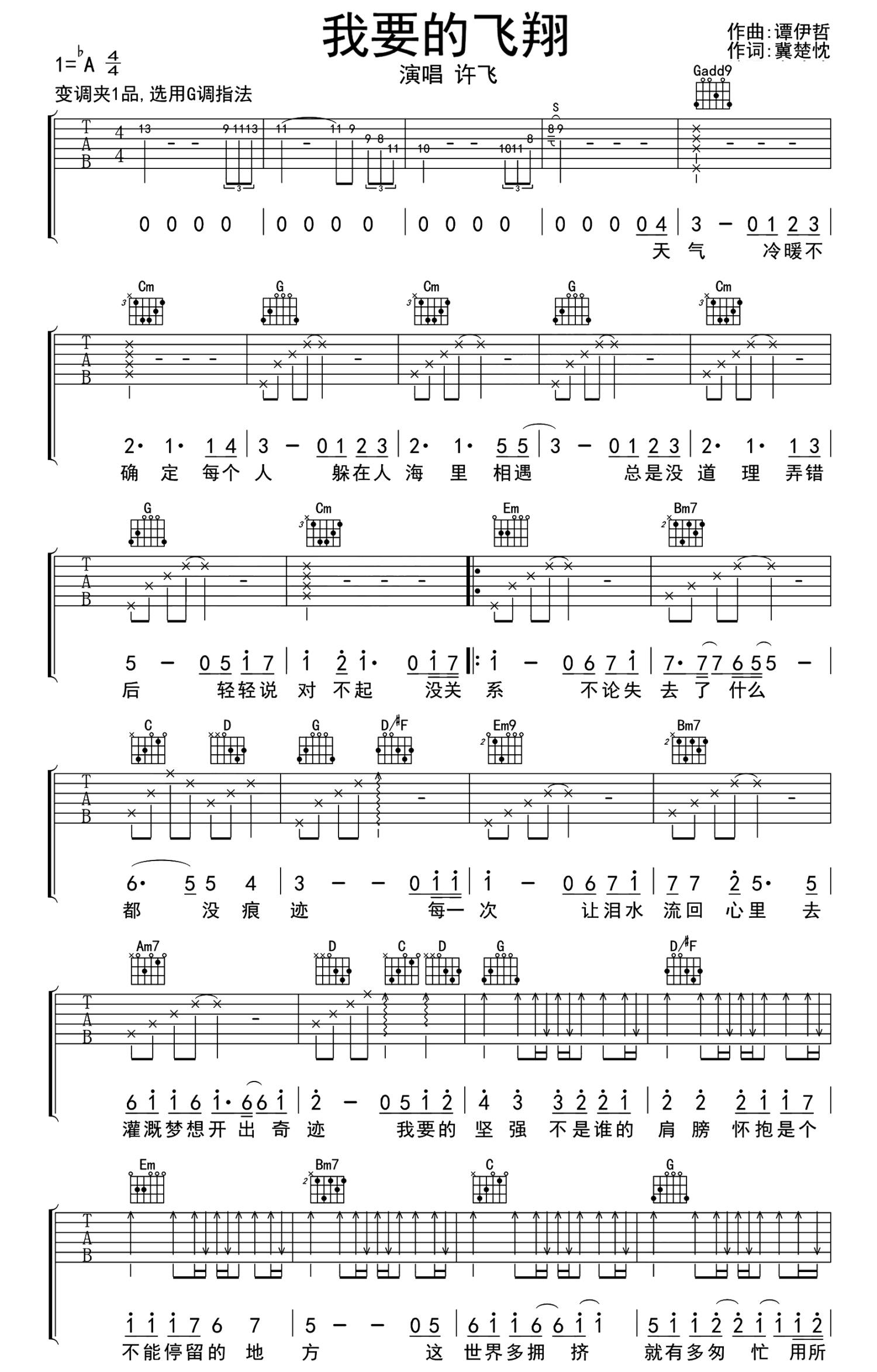 许飞《我要的飞翔》吉他谱_G调吉他弹唱谱第1张