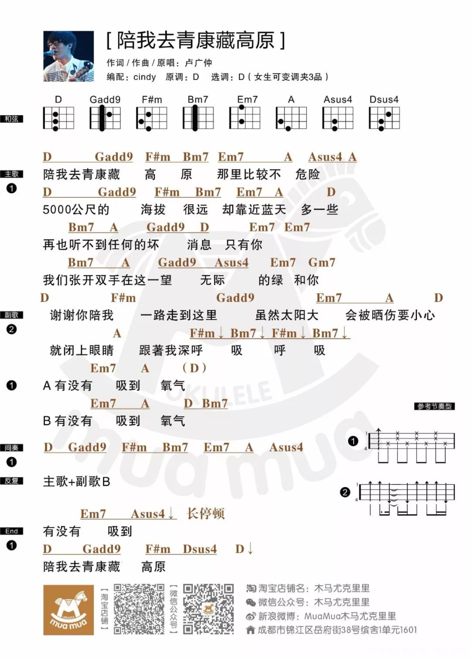 《陪我去青康藏高原》_尤克里里谱第1张