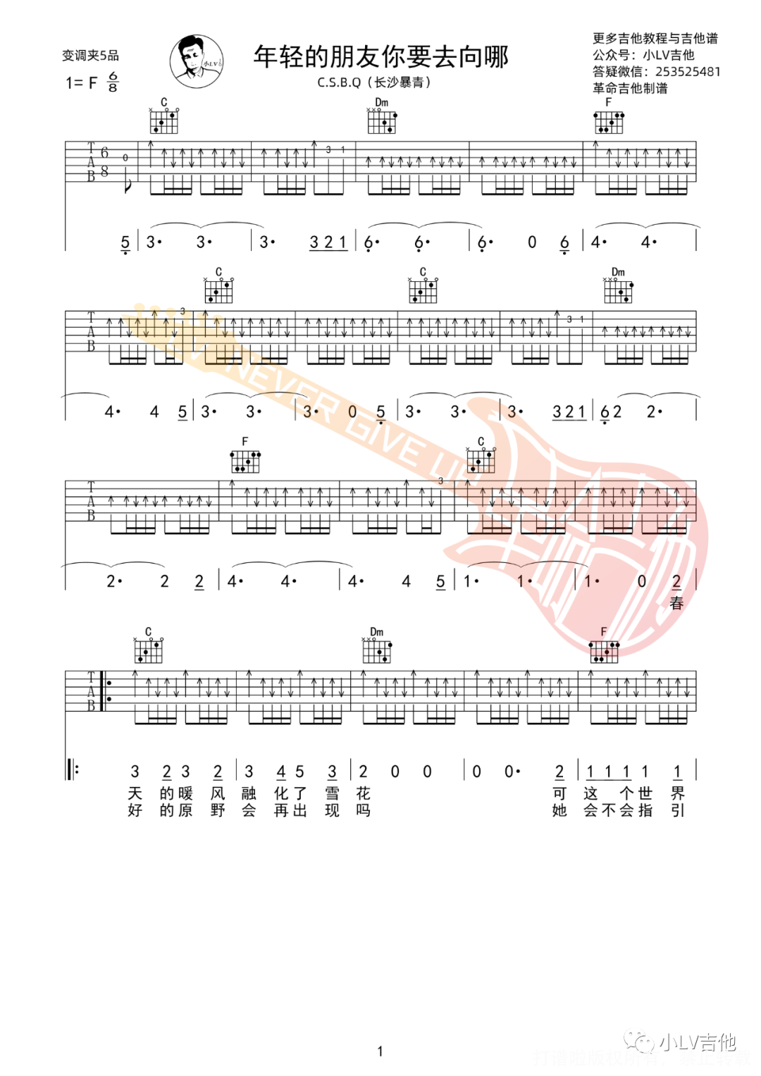 C.S.B.Q.《年轻的朋友你要去向哪》吉他谱_C调吉他弹唱谱第1张