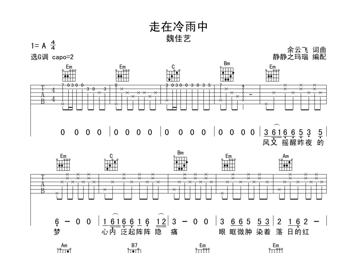 魏佳艺《走在冷雨中》吉他谱_G调吉他弹唱谱第1张