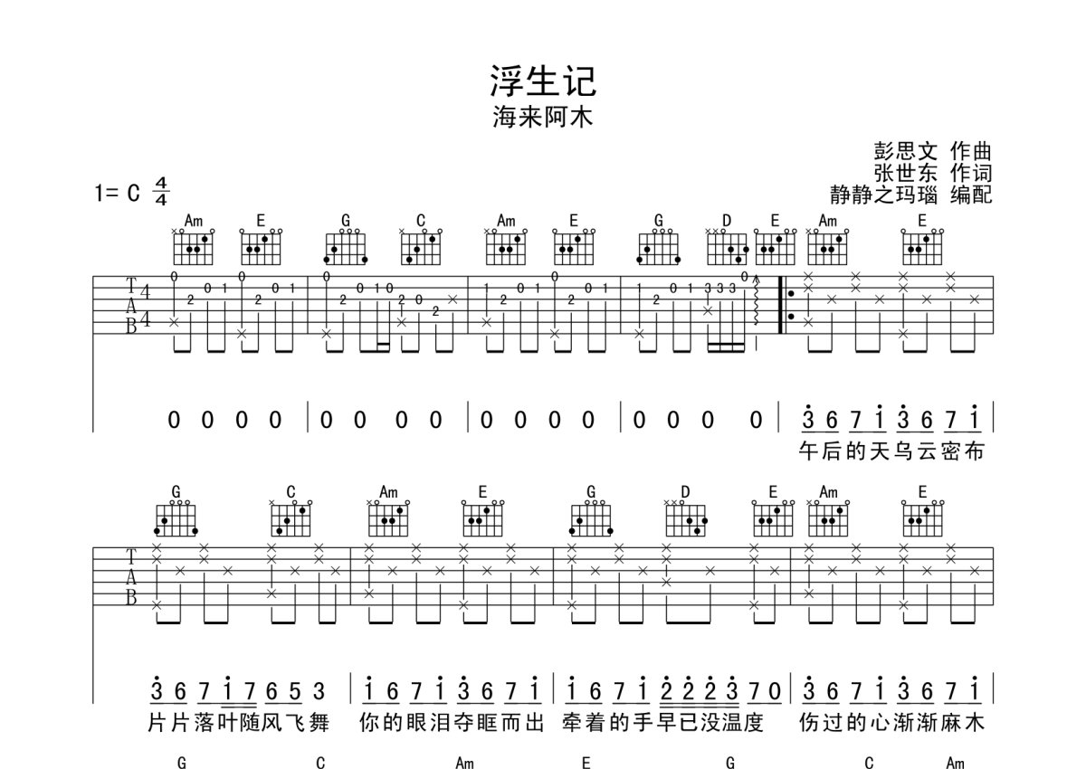 海来阿木《浮生记》吉他谱_C调吉他弹唱谱第1张