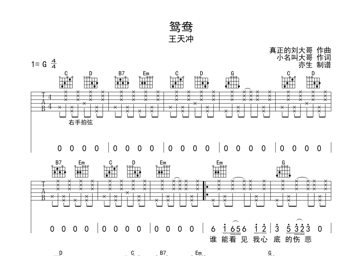 王天冲《鸳鸯》吉他谱_G调吉他弹唱谱第1张