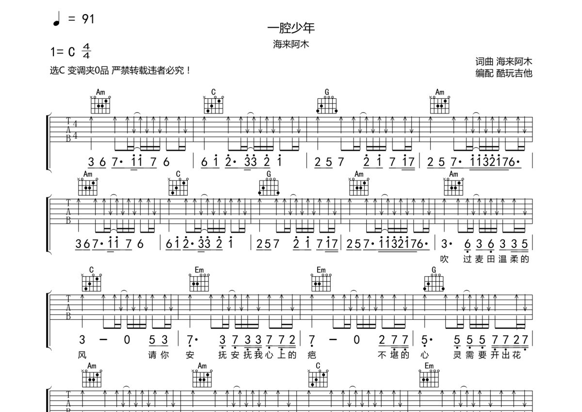 海来阿木《一腔少年》吉他谱_C调吉他弹唱谱第1张