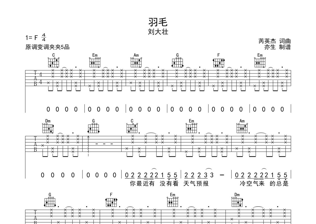 刘大壮《羽毛》吉他谱_C调吉他弹唱谱第1张