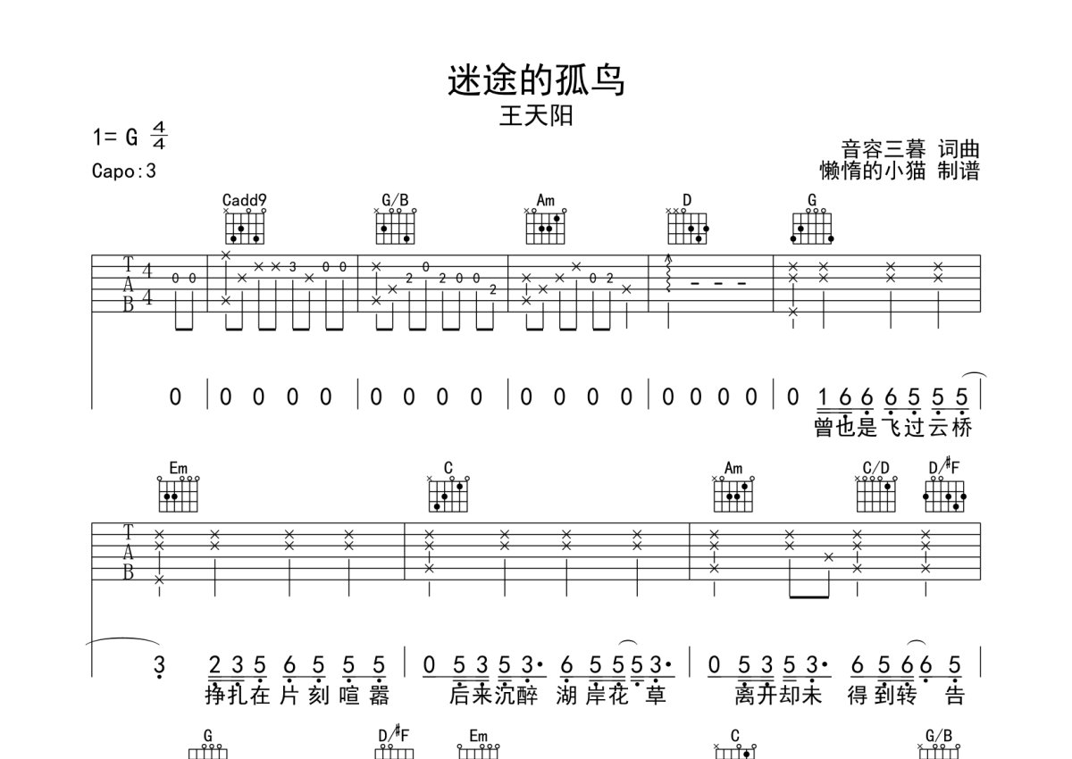 王天阳《迷途的孤鸟》吉他谱_G调吉他弹唱谱第1张