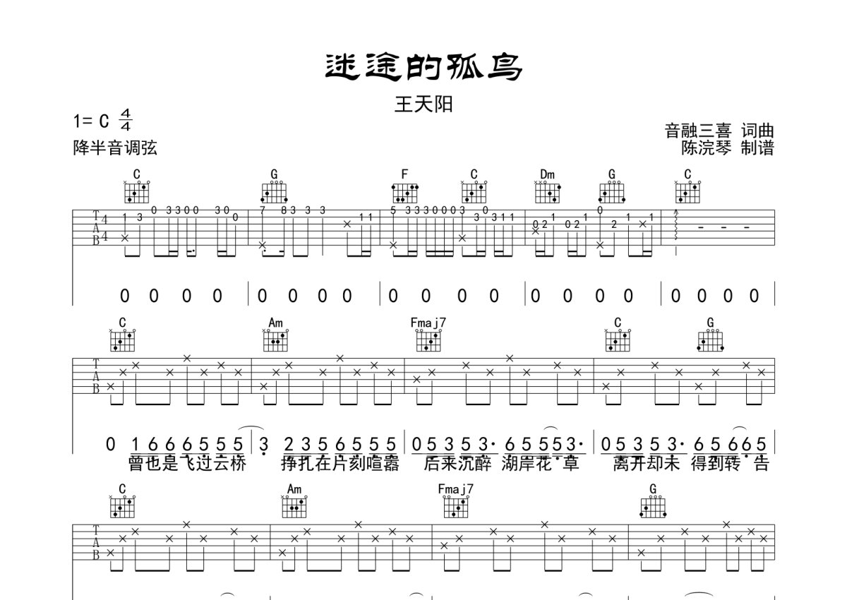 王天阳《迷途的孤鸟》吉他谱_C调吉他弹唱谱第1张