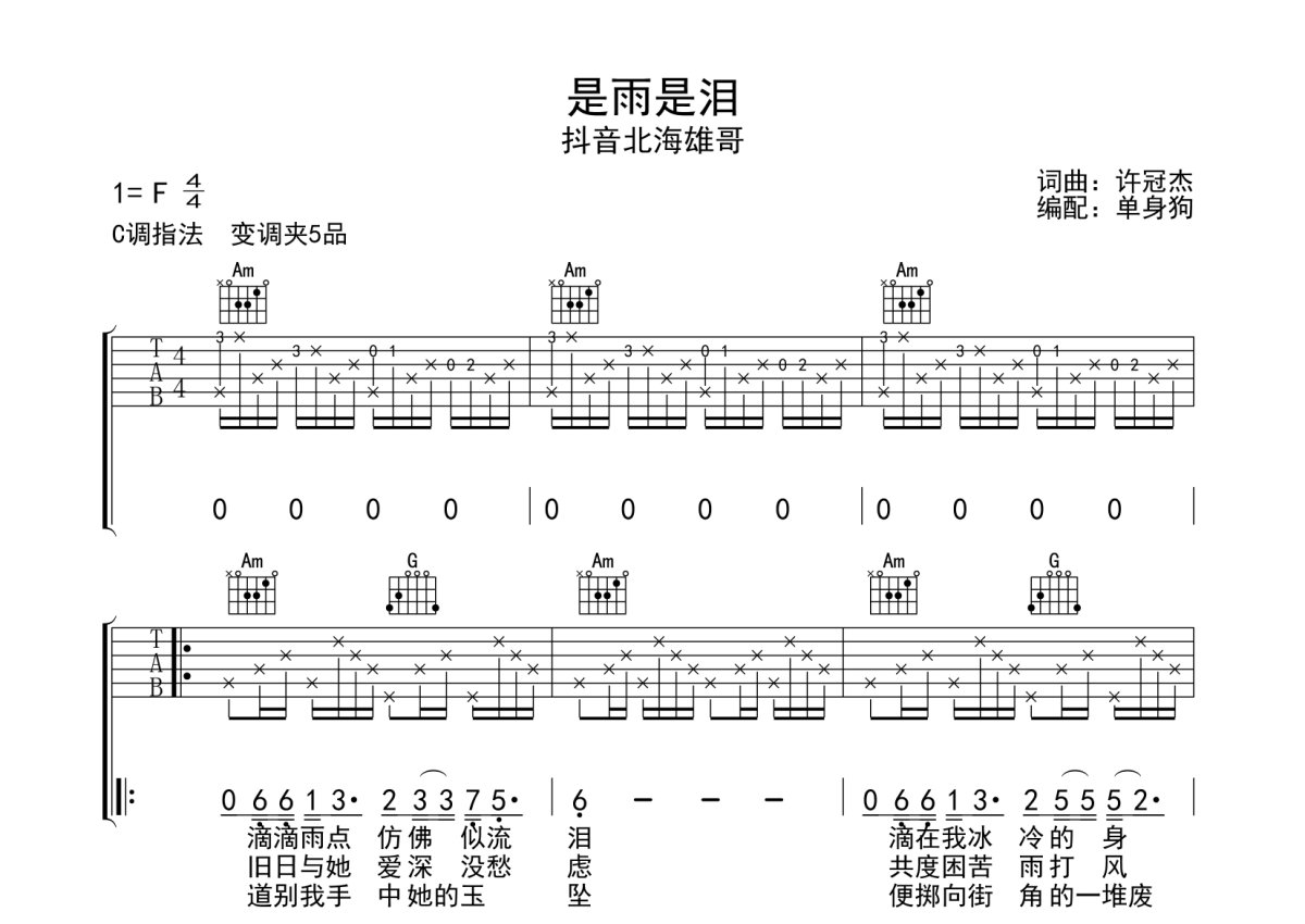 抖音北海雄哥《是雨是泪》吉他谱_C调吉他弹唱谱第1张